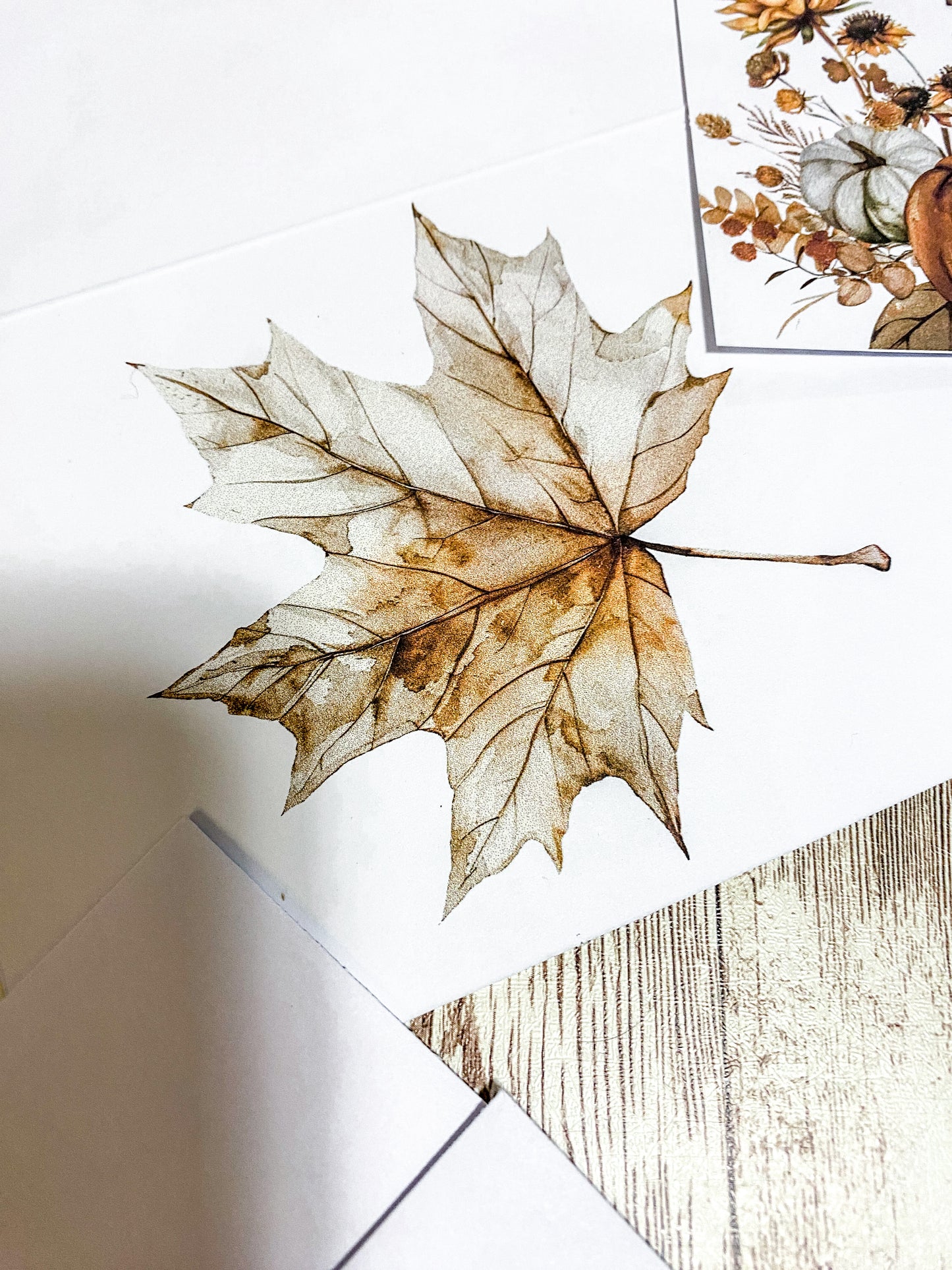 Fall Card Set