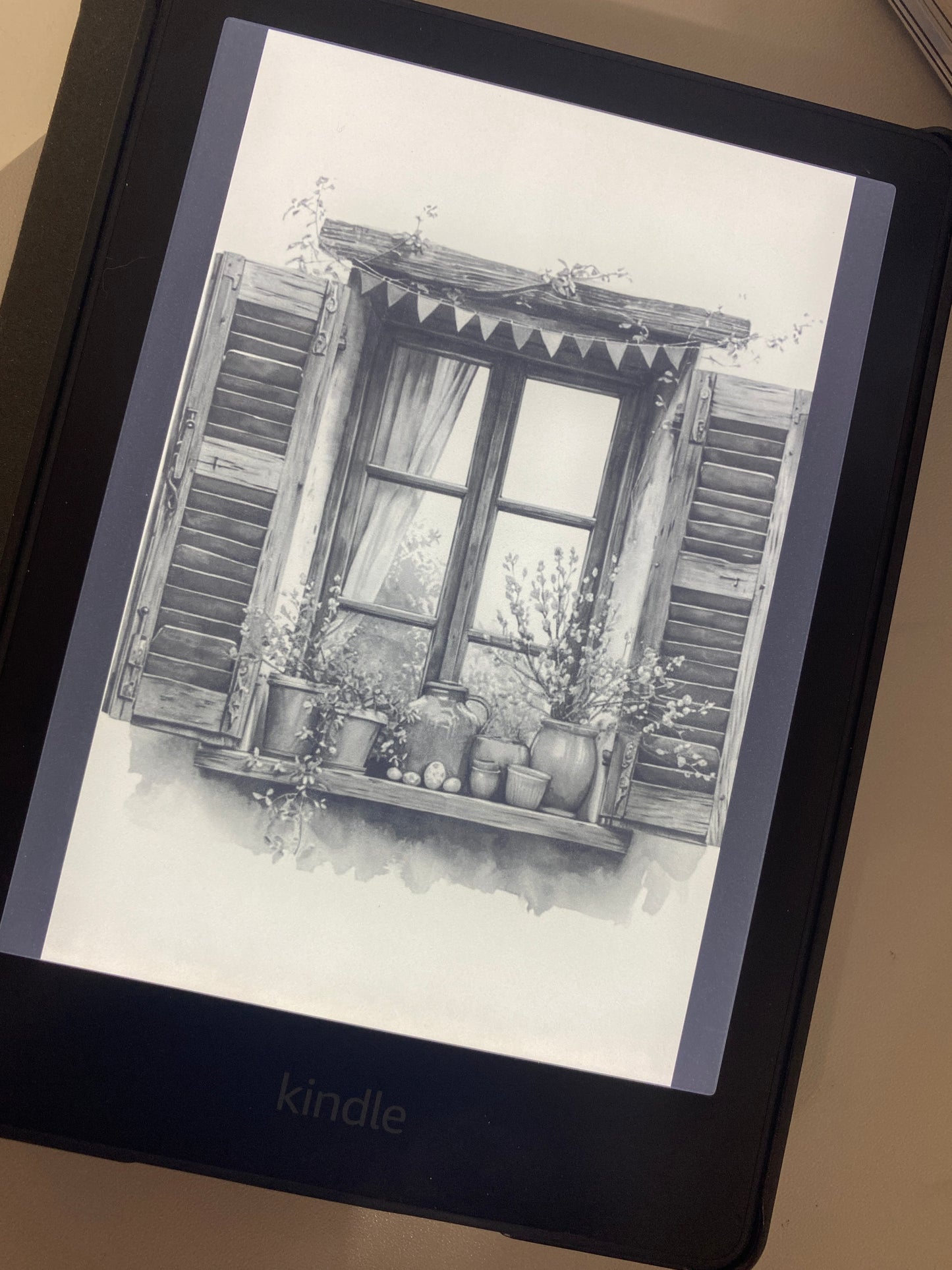 Window - Kindle - White Background