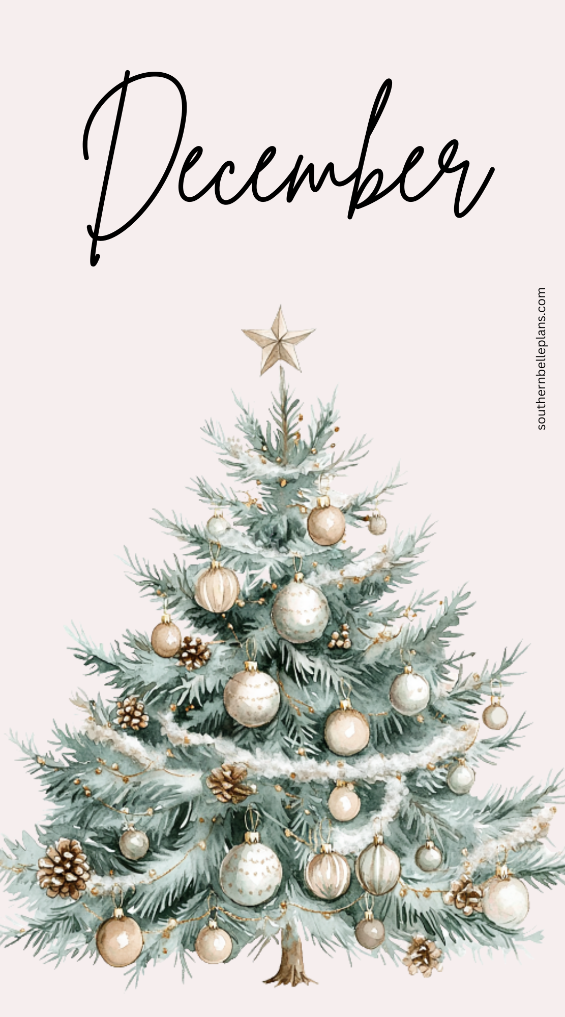 December 2025 Monthly Kit (Read Description)