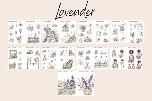 Lavender