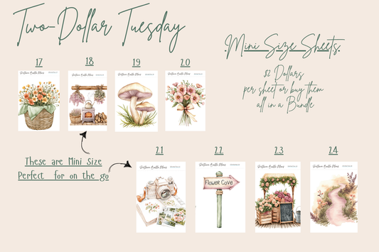 May 12th Two Dollar Tuesday
